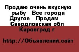 Продаю очень вкусную рыбу - Все города Другое » Продам   . Свердловская обл.,Кировград г.